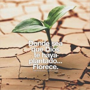 Meet your Posher, Janny